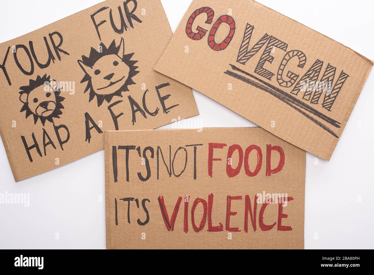 cardboard signs with go vegan, your fur had a face and its not food its violence inscriptions on white background Stock Photo