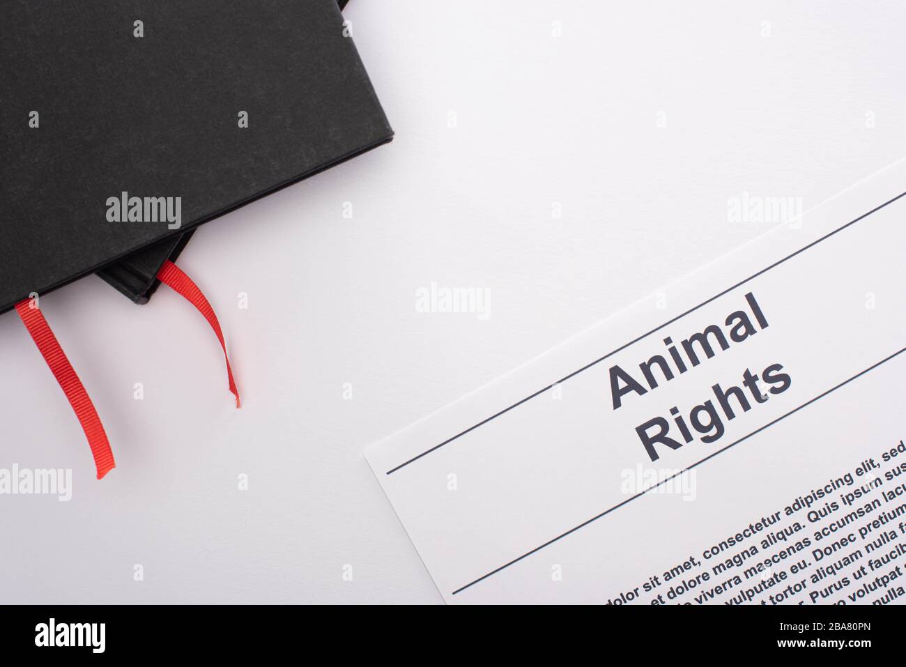 Animal Rights Text Grey top view of black notebooks and animal rights inscription on white ...
