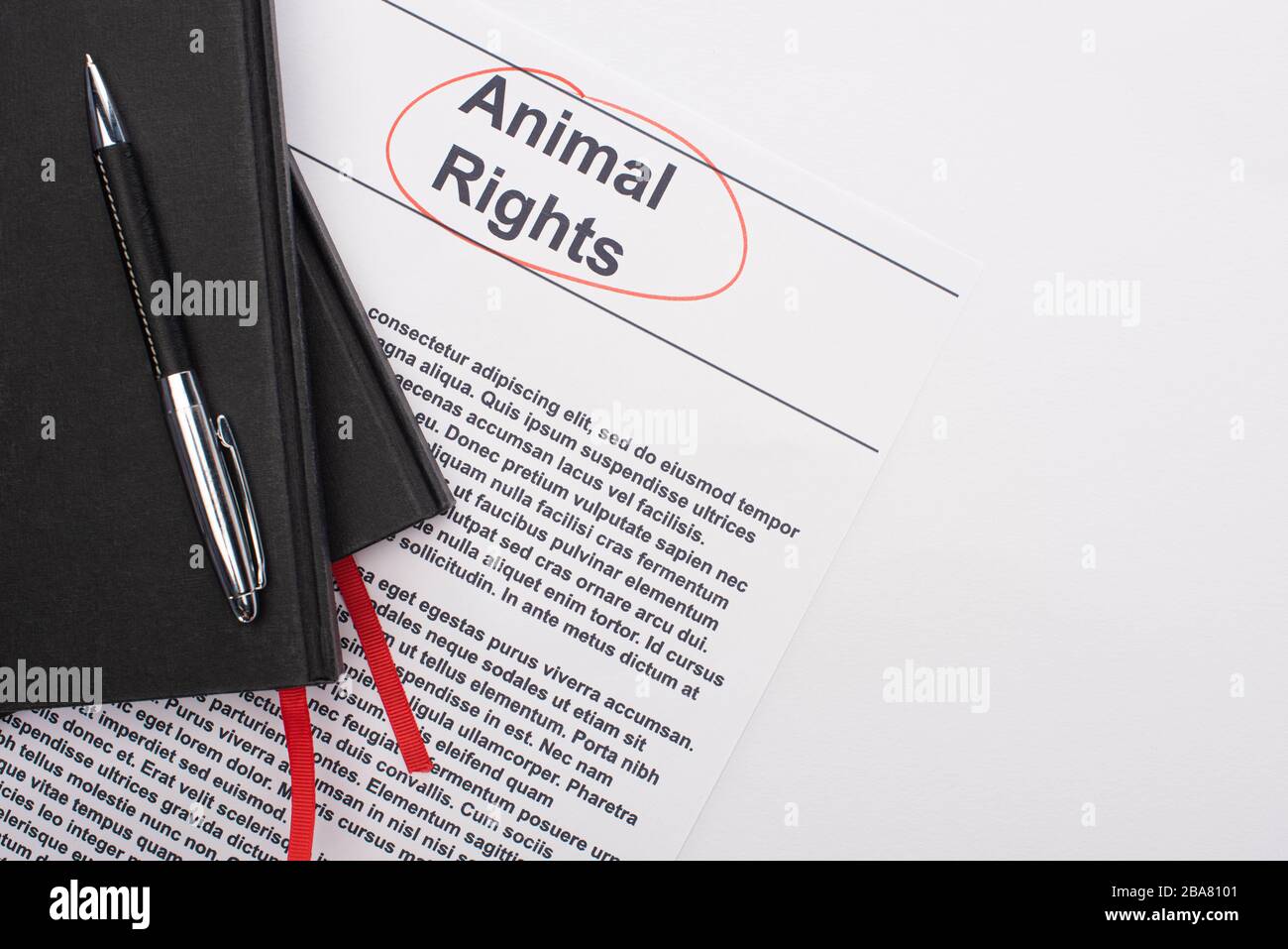 Animal Rights Text Grey top view of black notebooks and pen on animal rights inscription on ...