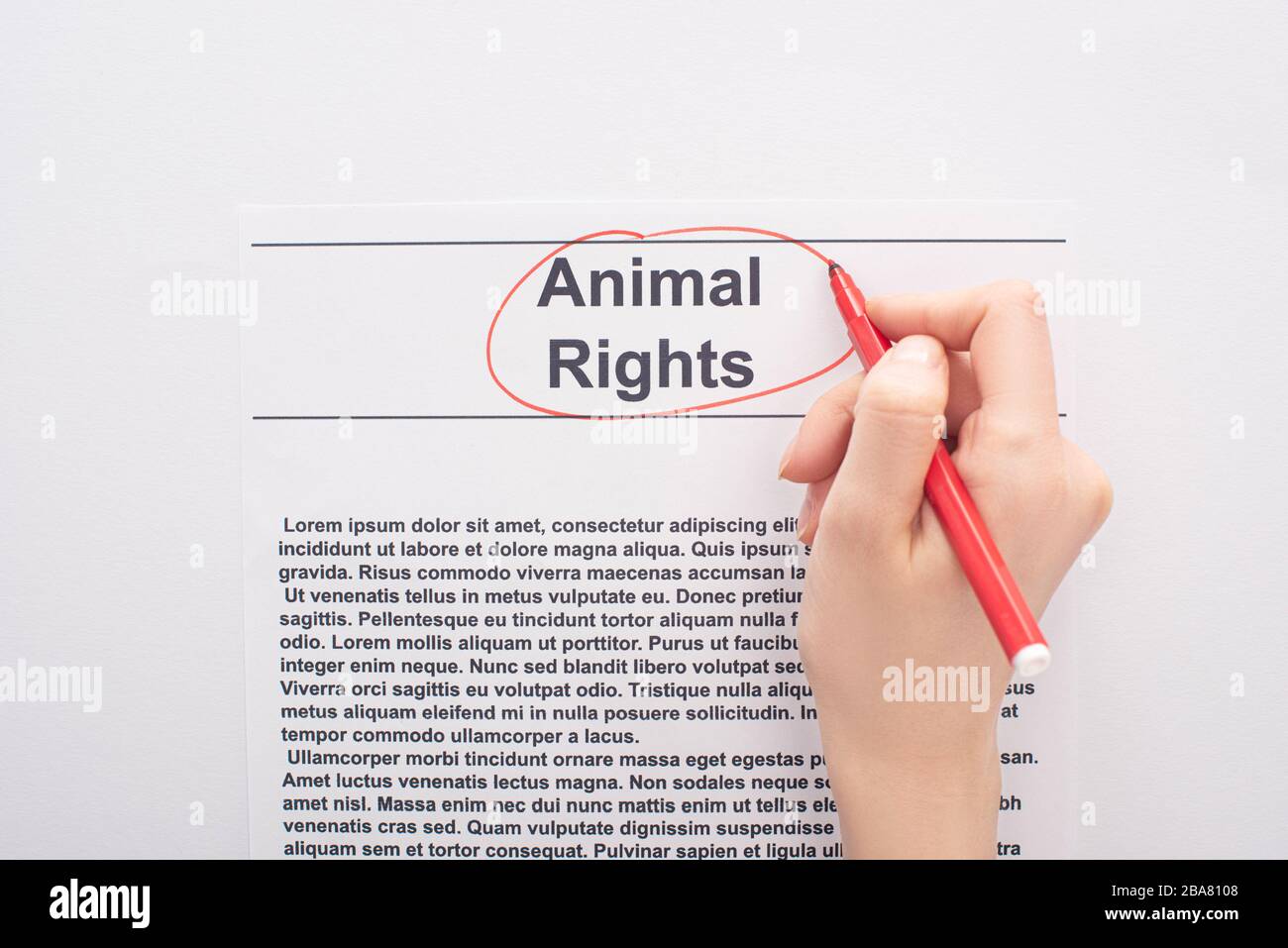 partial view of woman circling animal rights inscription with red felt ...