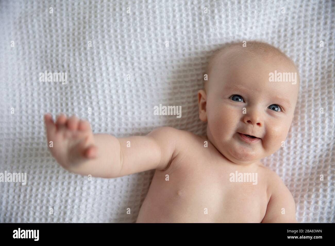 6 month old baby hires stock photography and images Alamy