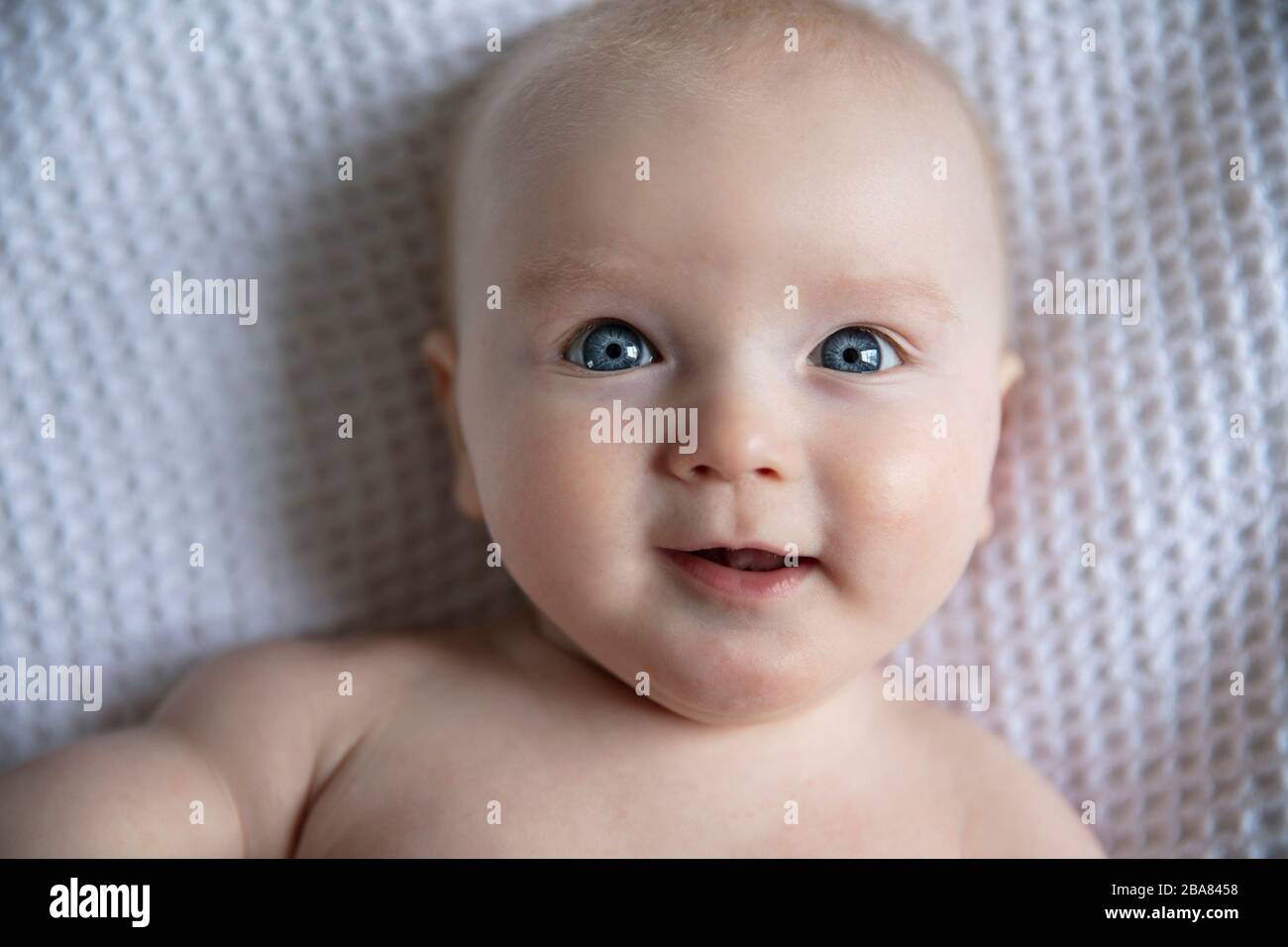 6 month old baby hi-res stock photography and images - Alamy
