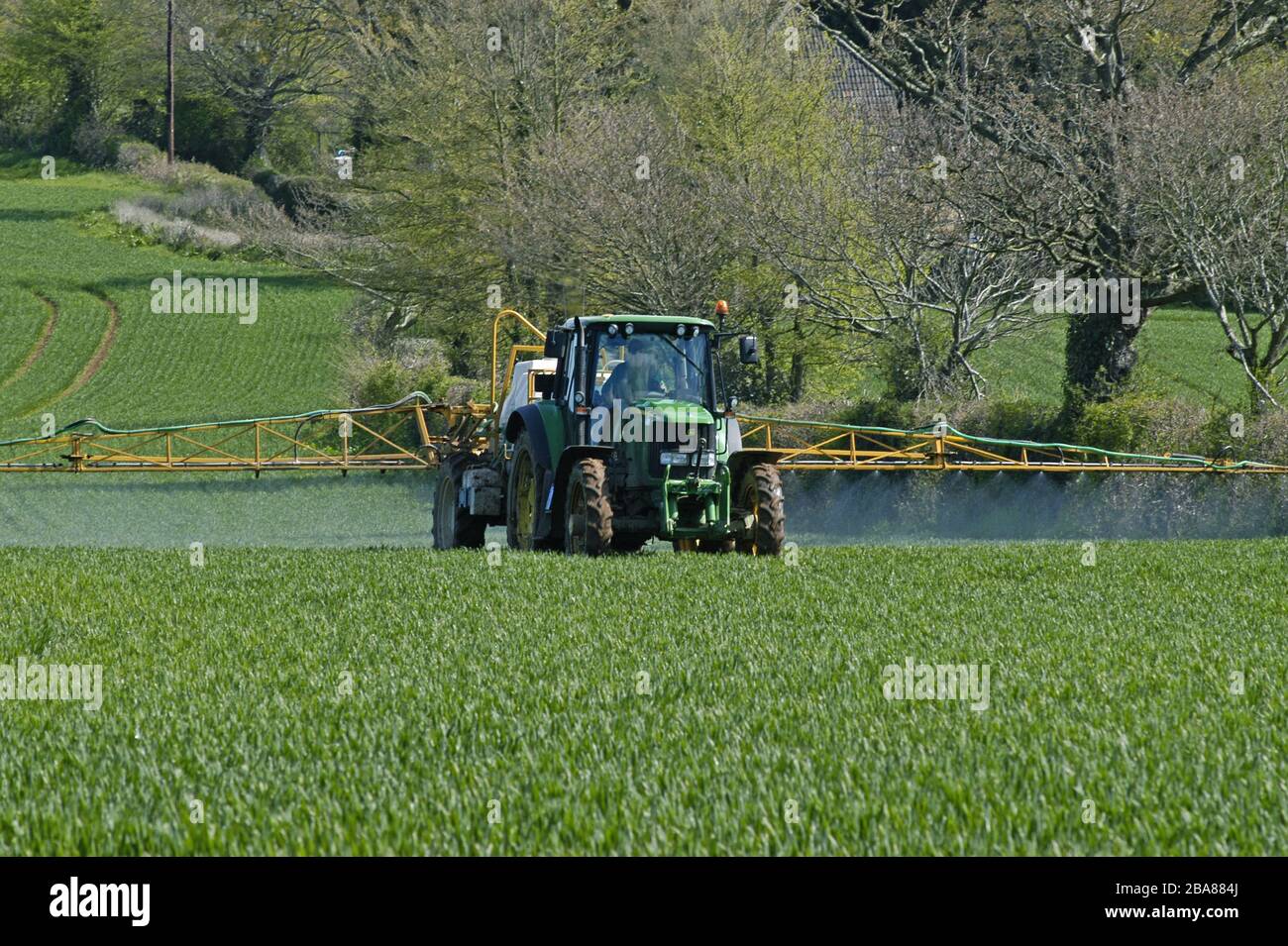 A John Deere tractor with trailed Knight boom  sprayer spraying wheat crop at about stage 30, April, Devon Stock Photo