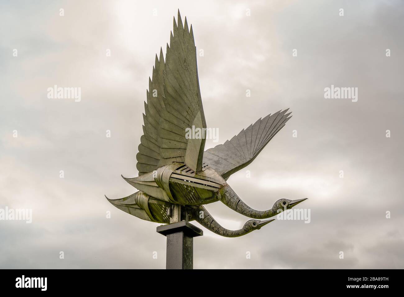 double discount ross 2019