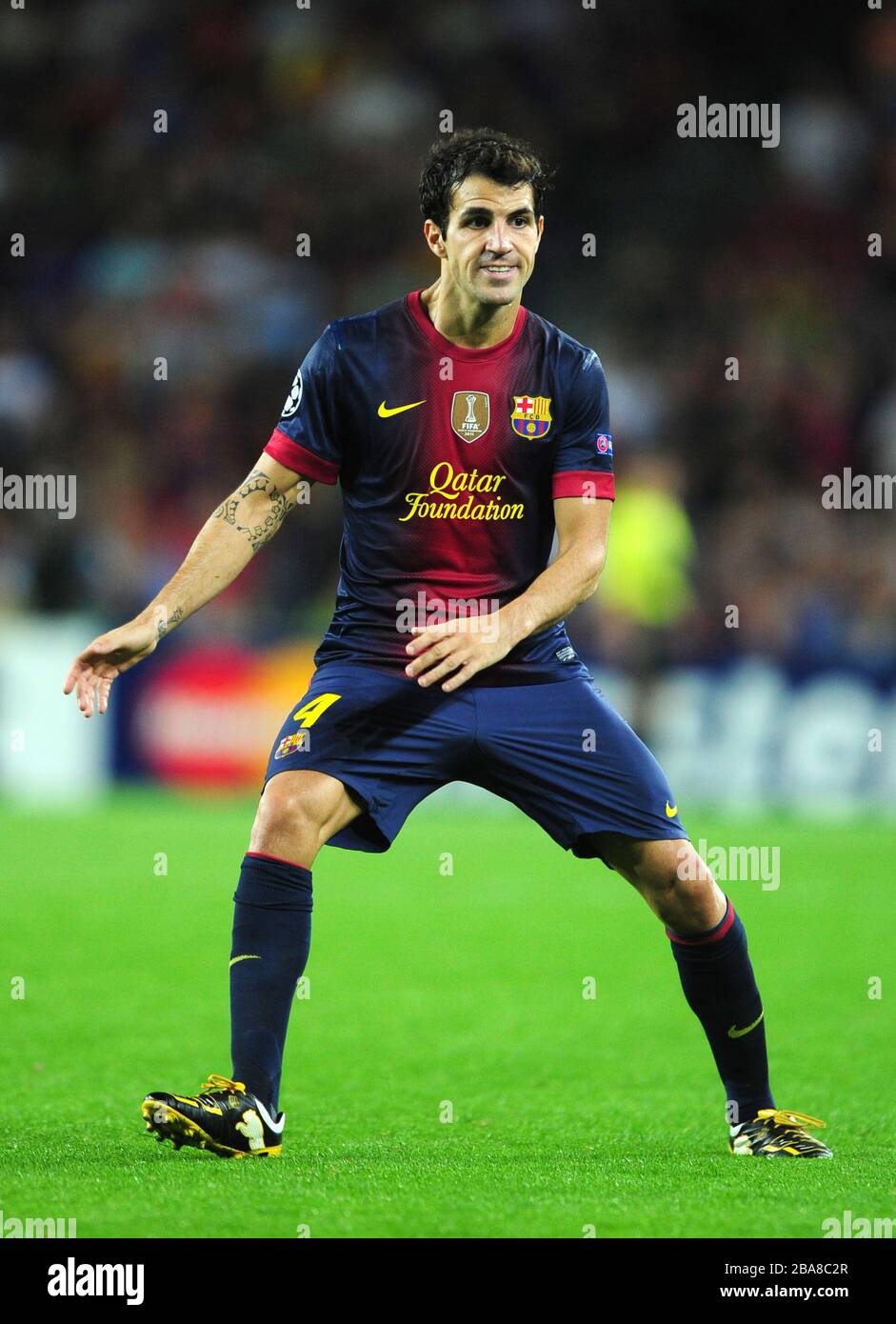 Francesc fabregas hi-res stock photography and images - Alamy