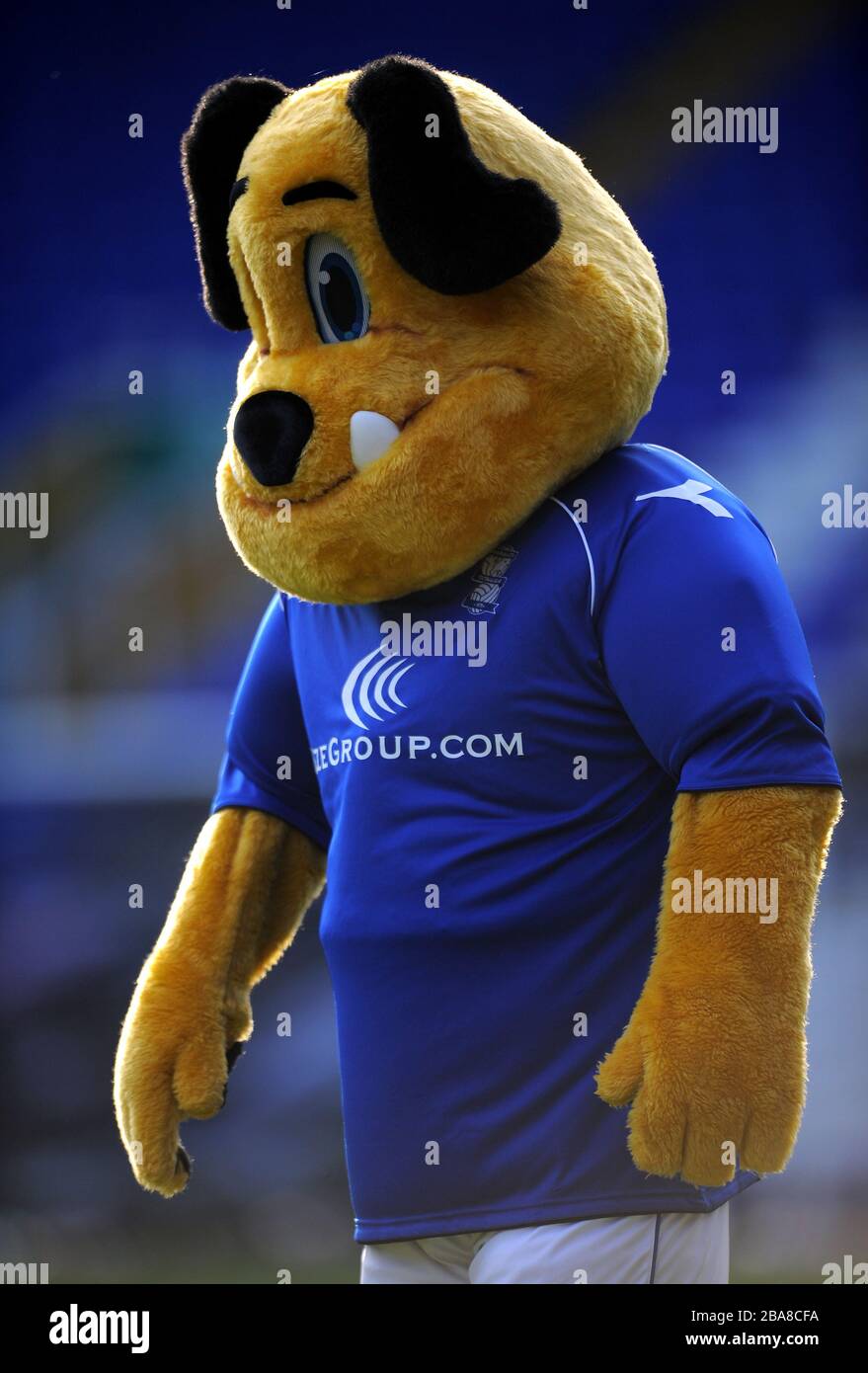 Birmingham City mascot Beau Brummie Stock Photo
