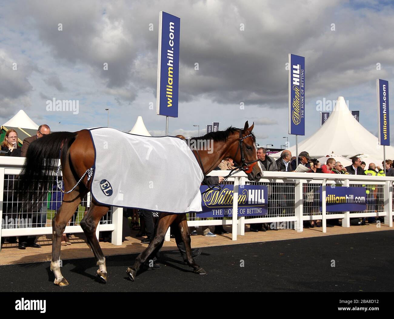 William Hill branding and signage at Ayr Racecourse Stock Photo