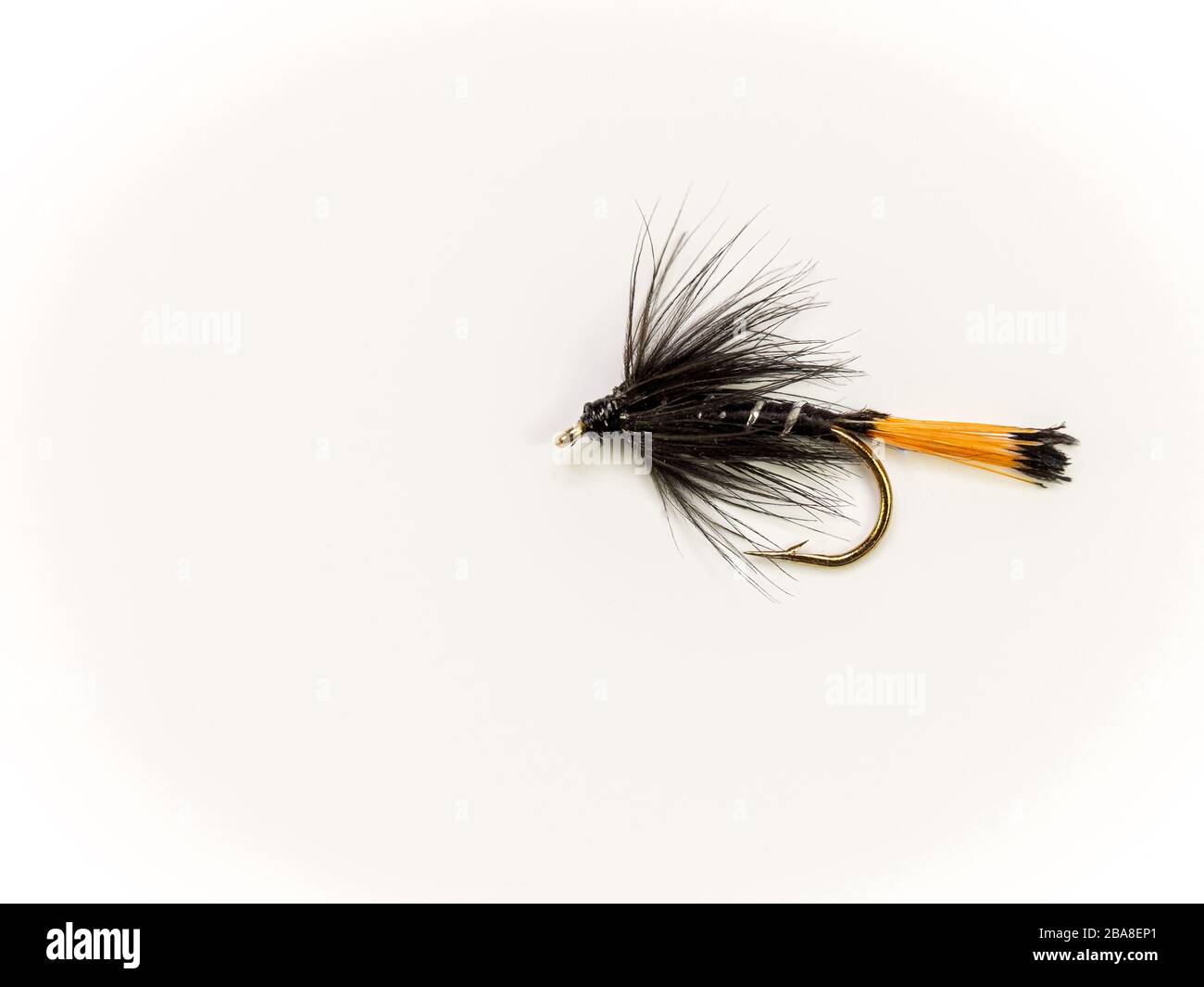 Traditional Wet Fly fishing fly for trout, Black Pennel Stock Photo - Alamy