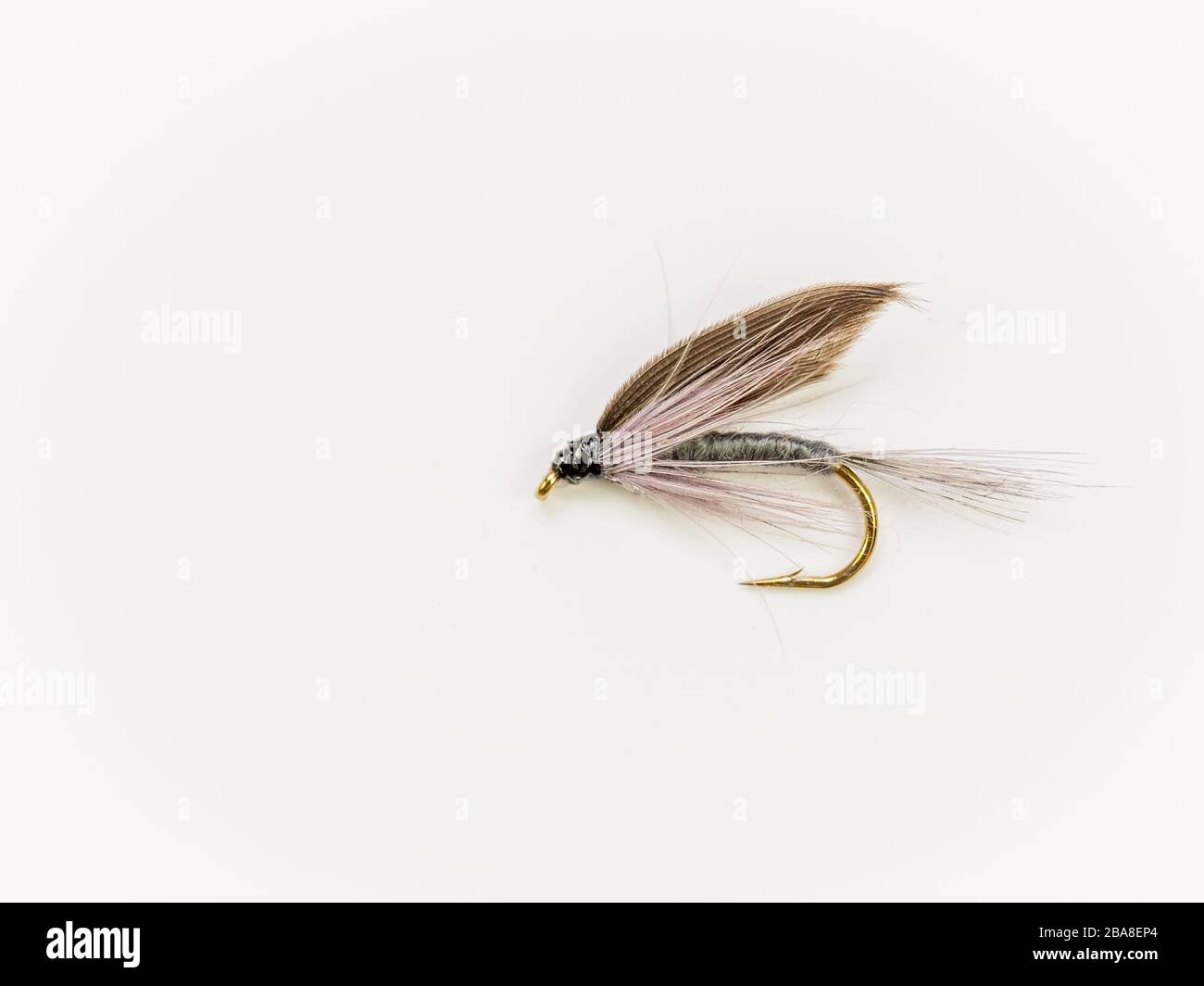 Traditional Wet Fly fishing fly for trout, Blue Dun Stock Photo Alamy