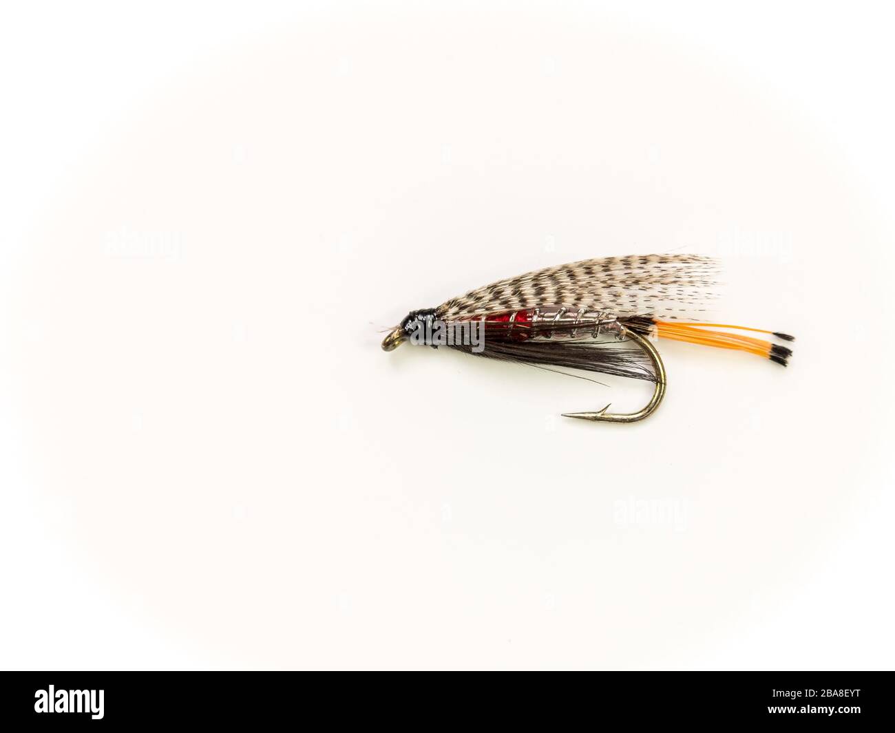 Traditional Wet Fly fishing fly for trout, Peter Ross Stock Photo Alamy