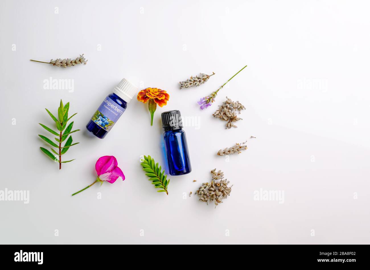 Bottles of Aromatherapy Essential oils, fresh and  dried lavender seeds, flower petal and herbs Stock Photo