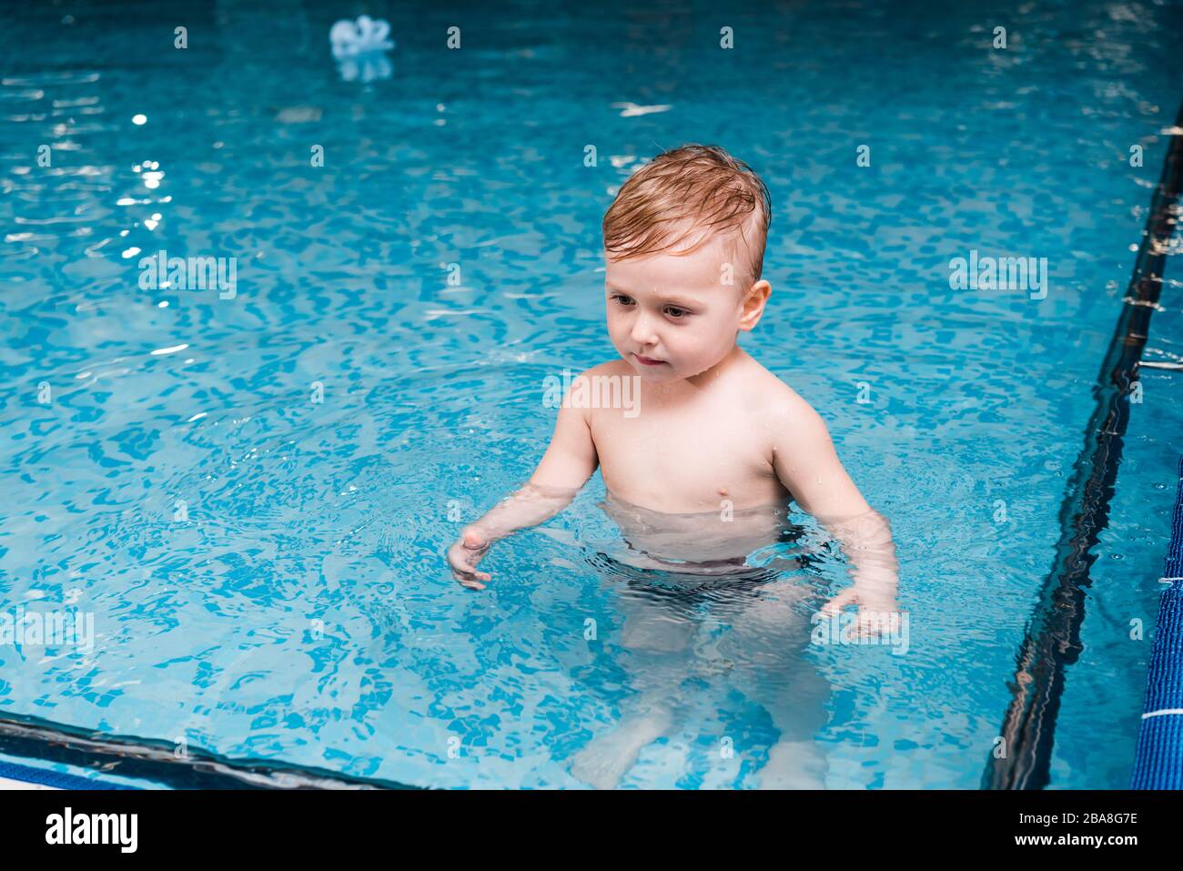 adorable toddler boy standing in swimming pool Stock Photo Alamy