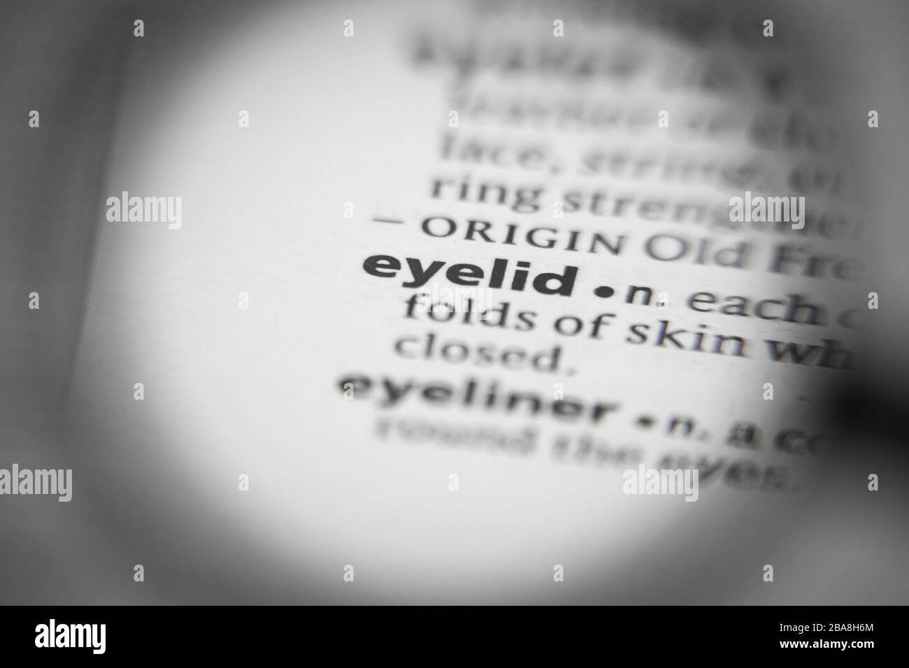 Word or phrase eyelid in a dictionary. Great photo for your needs Stock Photo Alamy