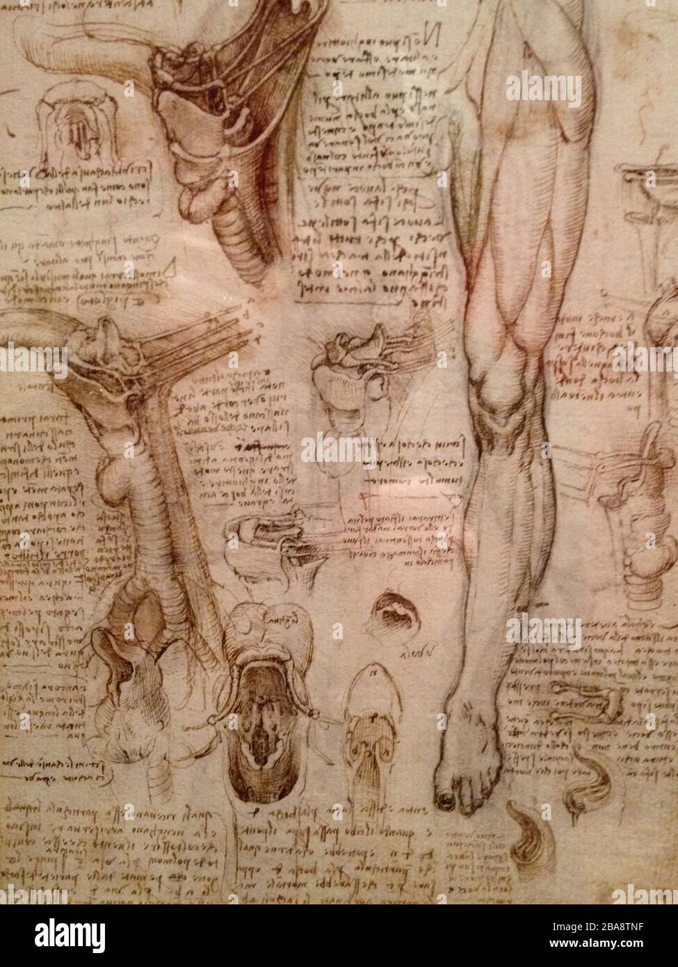 painting, art, leonardo, vinci, antique, da, old, famous painting, art, leonardo, vinci, antique, da, old, famous