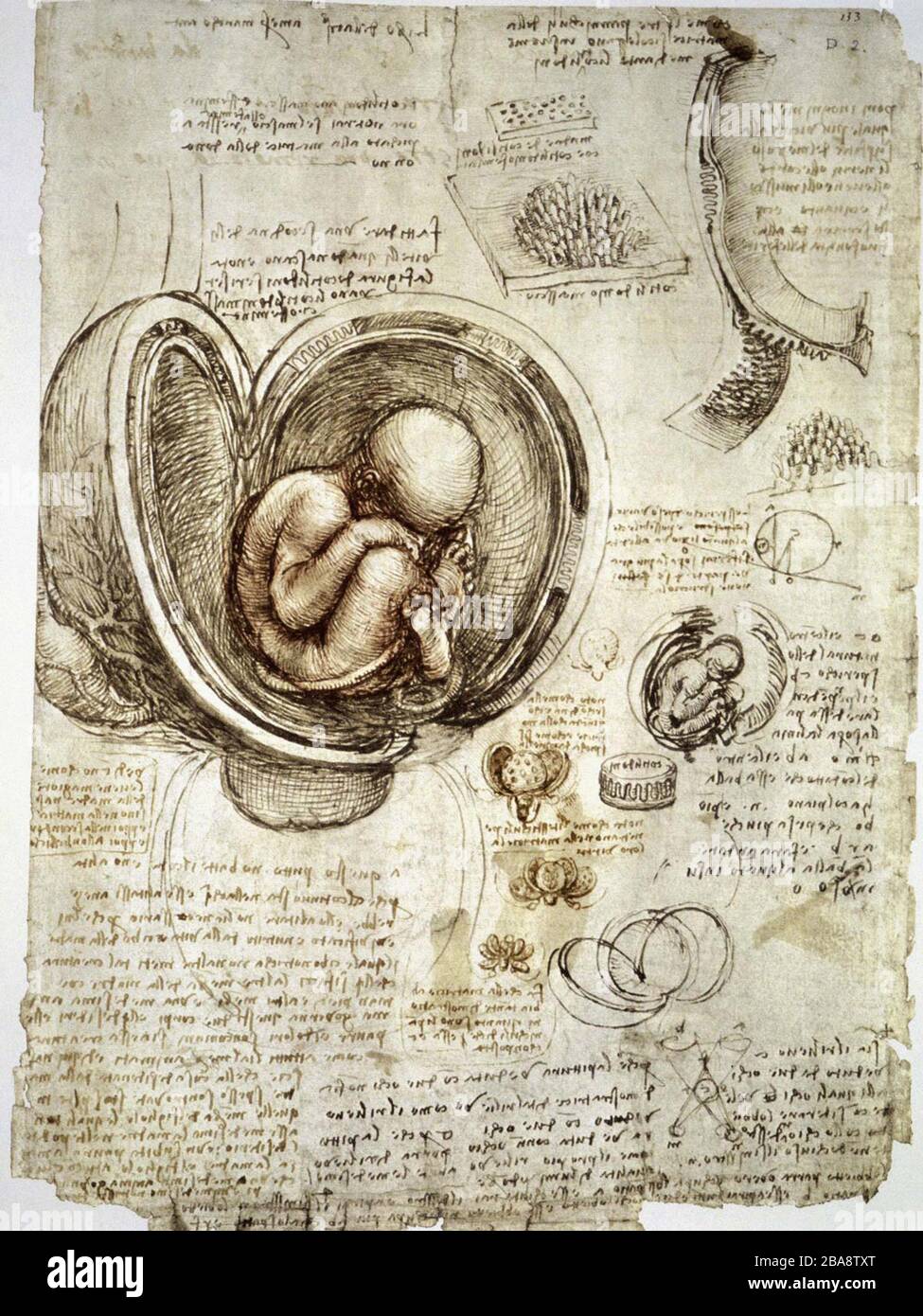 油絵 手書き肉筆画(原画) イタリア画家ロニストン 縦87センチ