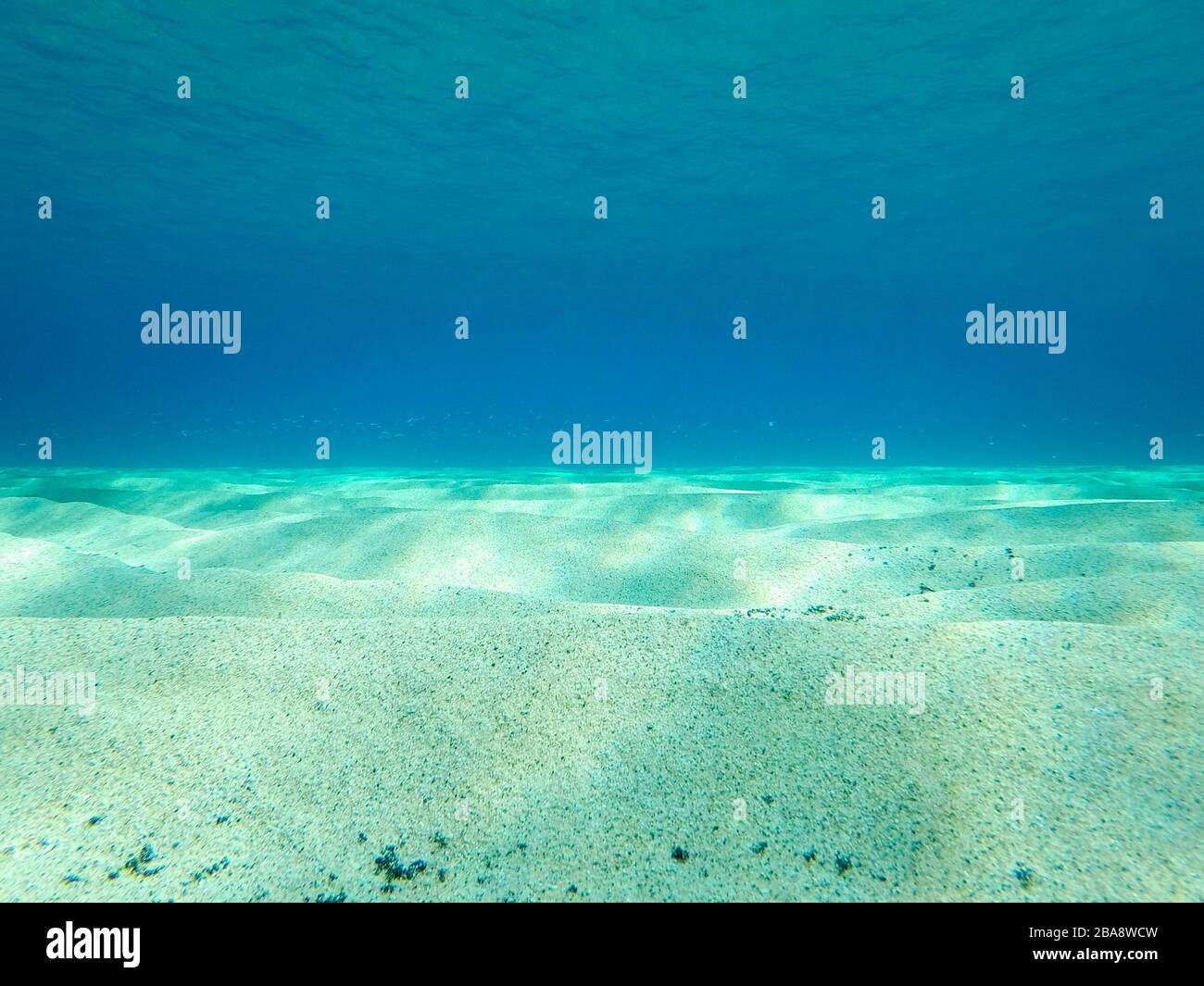 Underwater Sand Mediterranean Sea Natural Scene Stock Photo