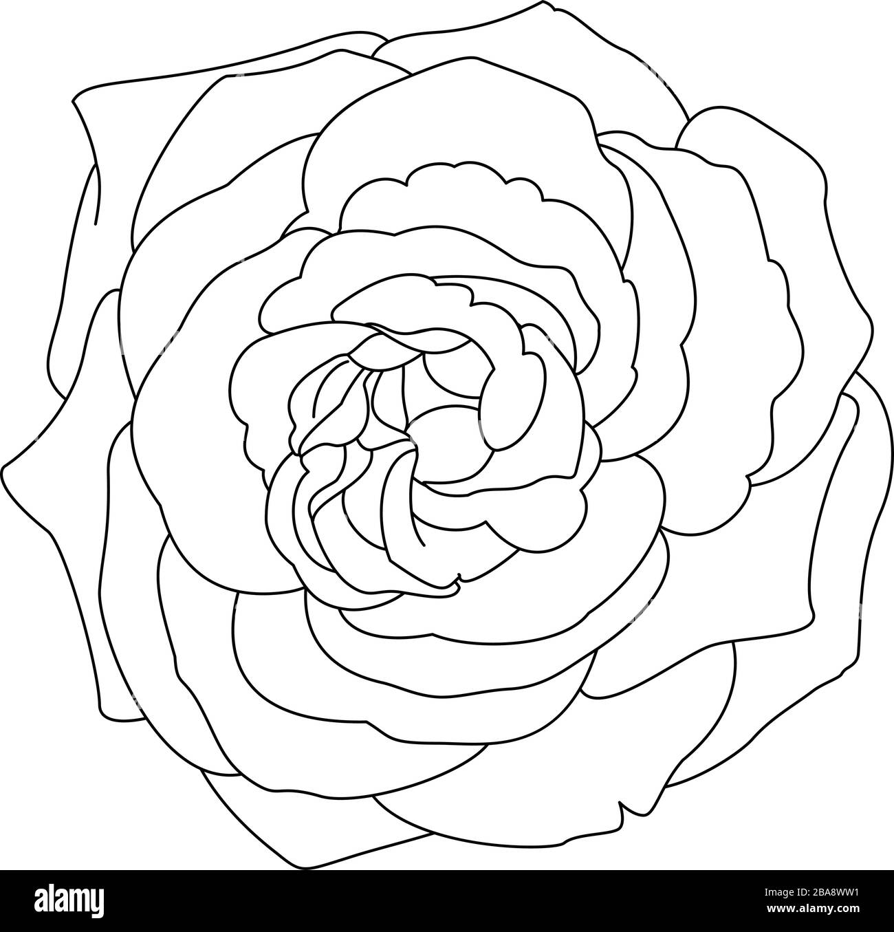 Download Vector Rose Flower Clip Art Coloring Book Page Stock Vector Image Art Alamy