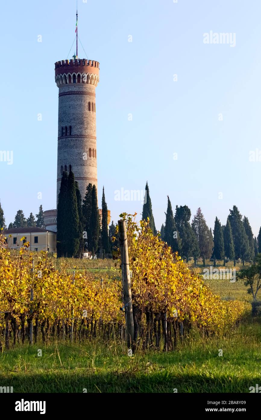 Vineyards of San Martino della Battaglia DOC wine. In the background the monumental tower of the Italian Risorgimento. Lombardy, Italy. Stock Photo