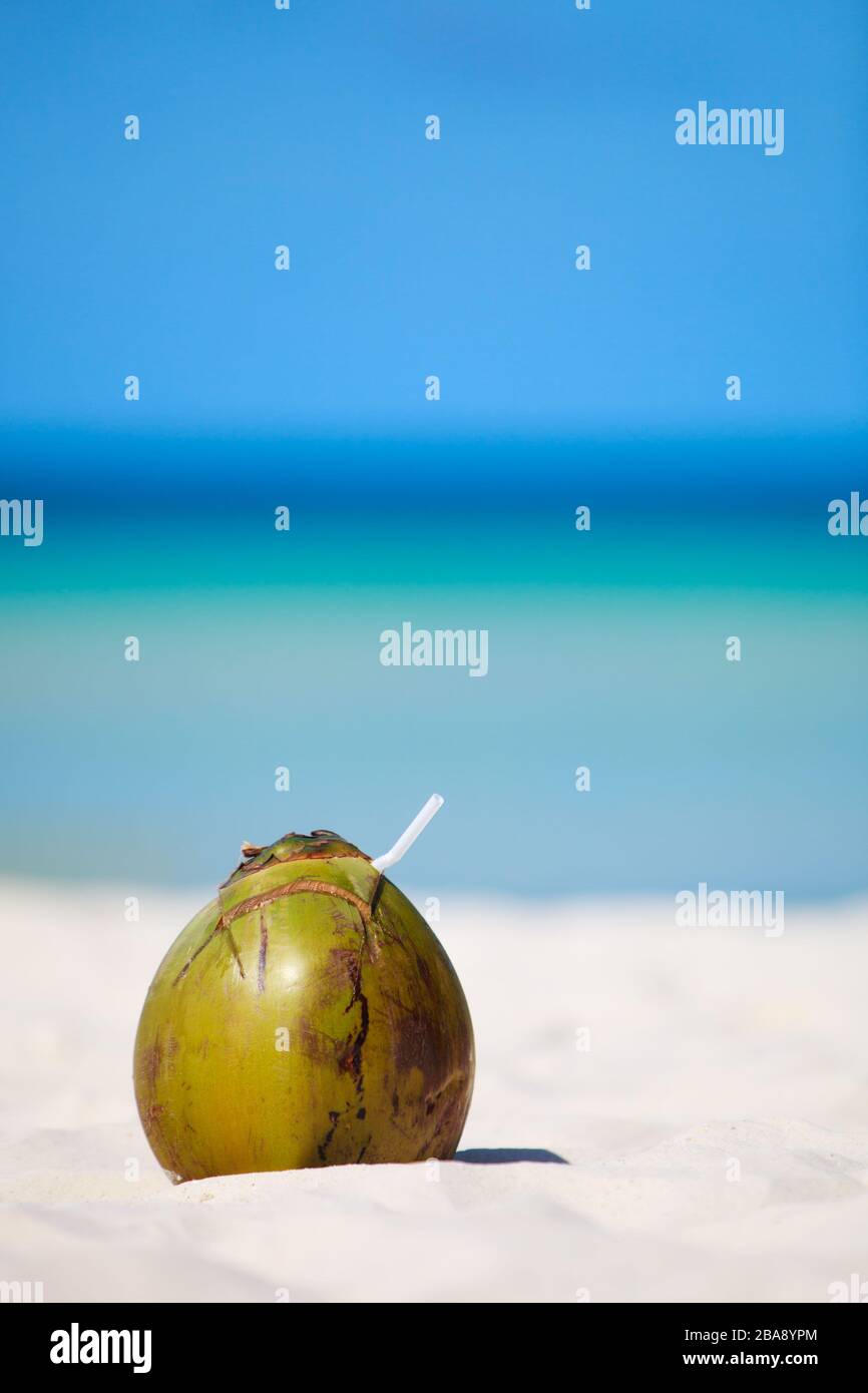 Boracay, Phillippinen, Insel, Kokosnuss am Strand Stock Photo