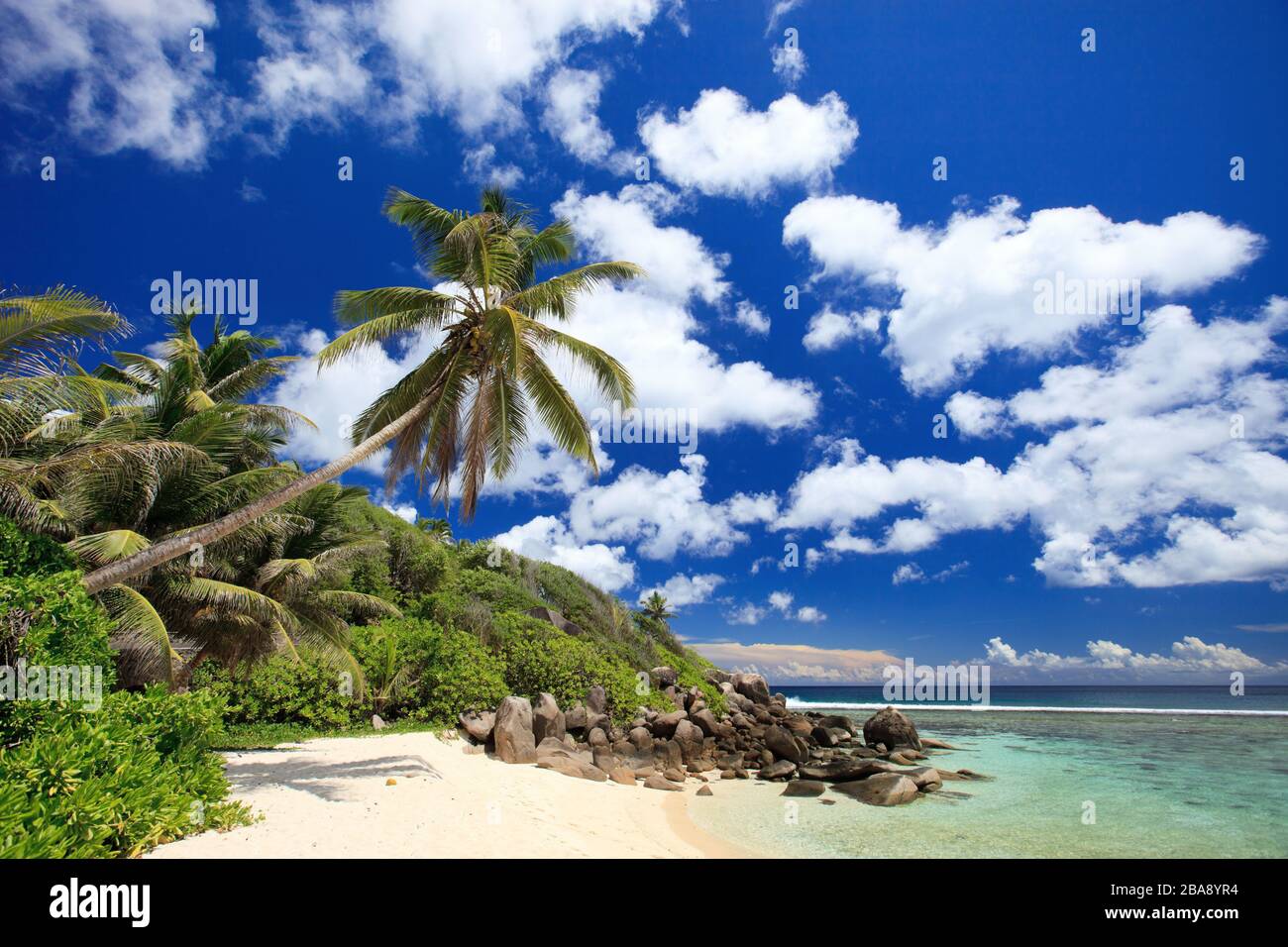 Seychellen, Palmen am Strand, Palmenstrand, La Digue, Stock Photo