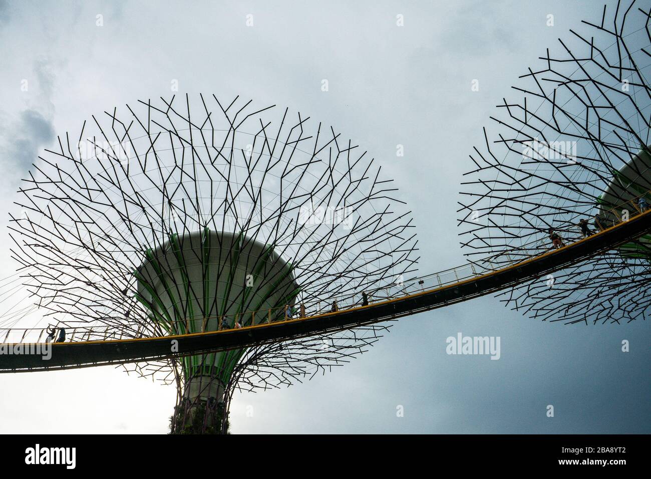 GARDEN BY THE BAY / SINGAPORE, 30 APR 2018 - View of Supertree Landmark at Garden by the bay is the famous park and outdoor of Singapore Stock Photo