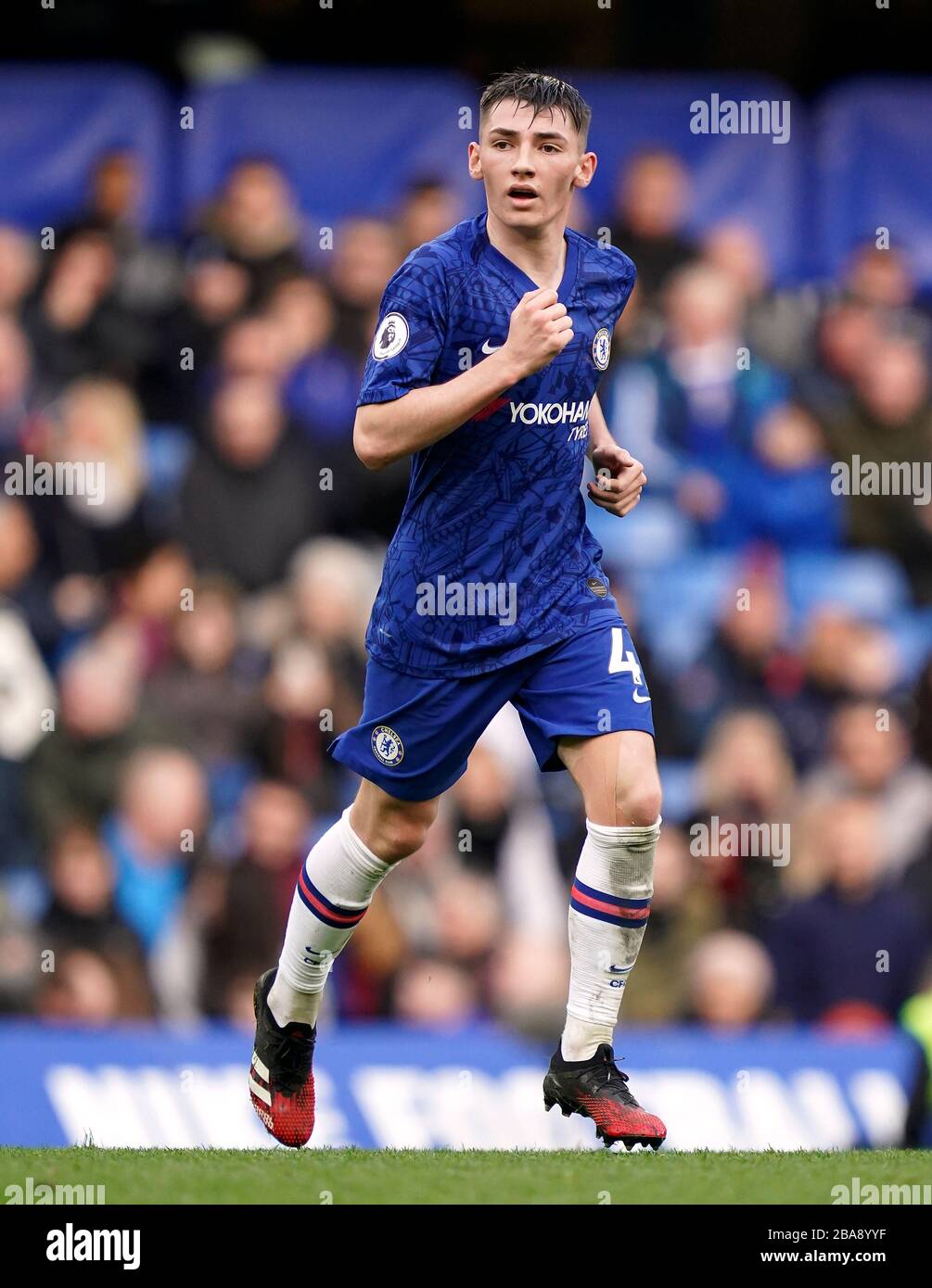 Chelsea's Billy Gilmour Stock Photo