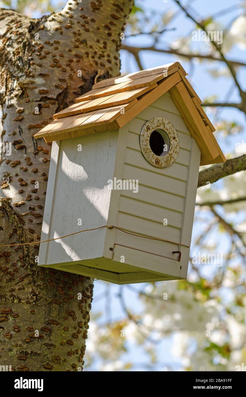 bird nesting box Stock Photo
