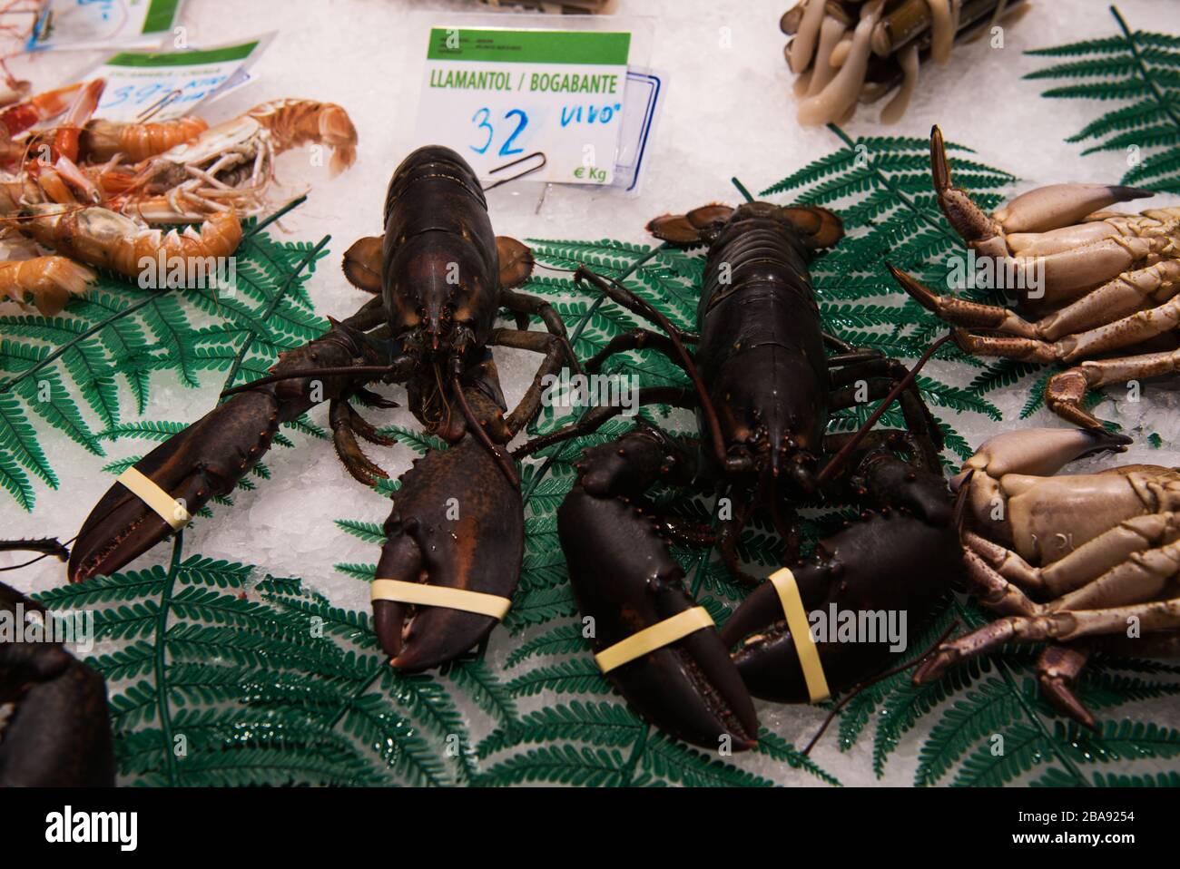 Artist pablo serrano hires stock photography and images Alamy