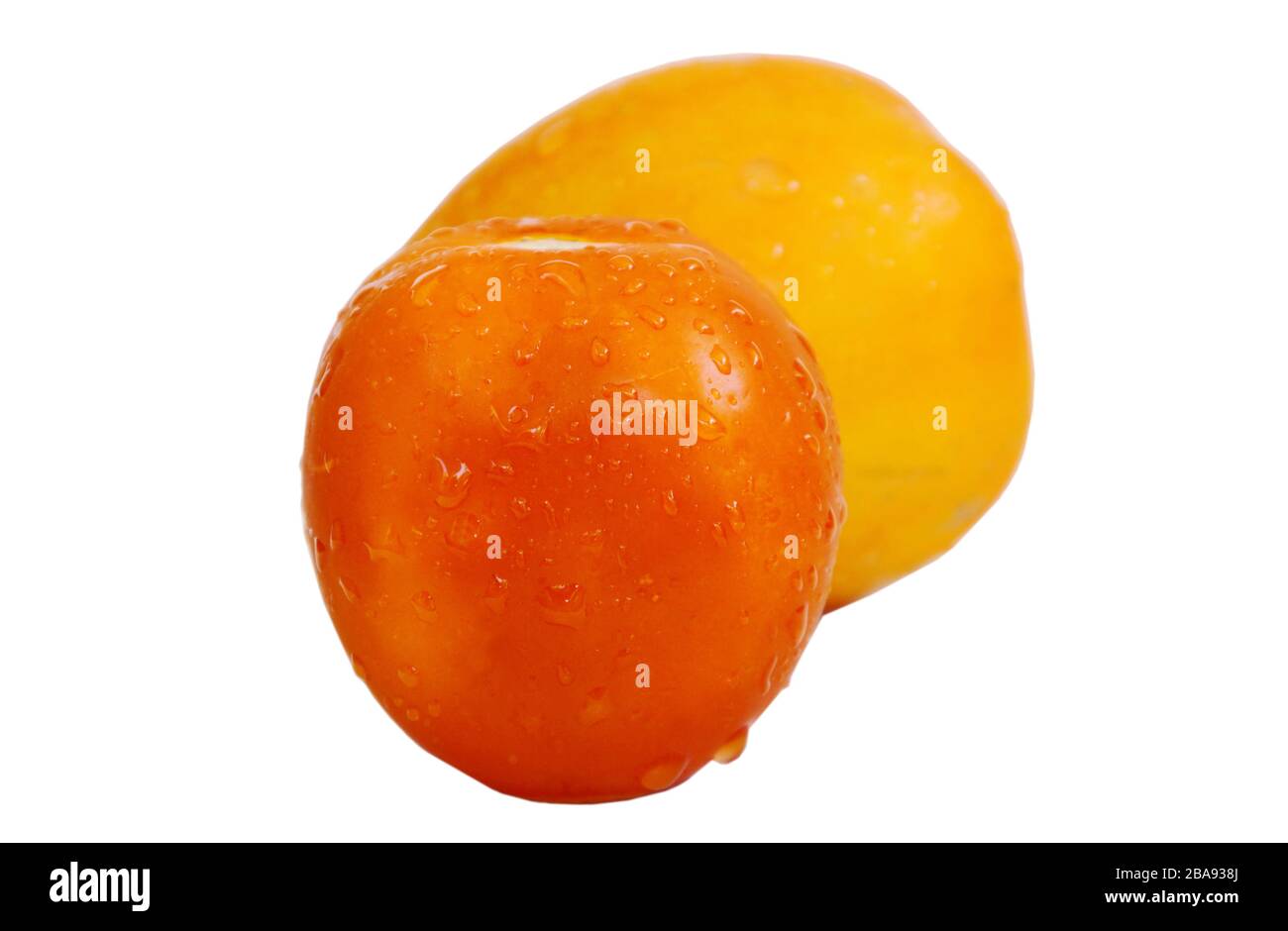 tomato with drop of water on white background Stock Photo - Alamy