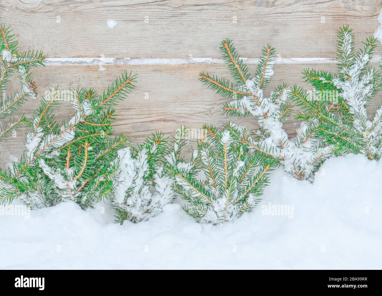 Wooden snowy background with fir tree. Christmas framework with fir ...