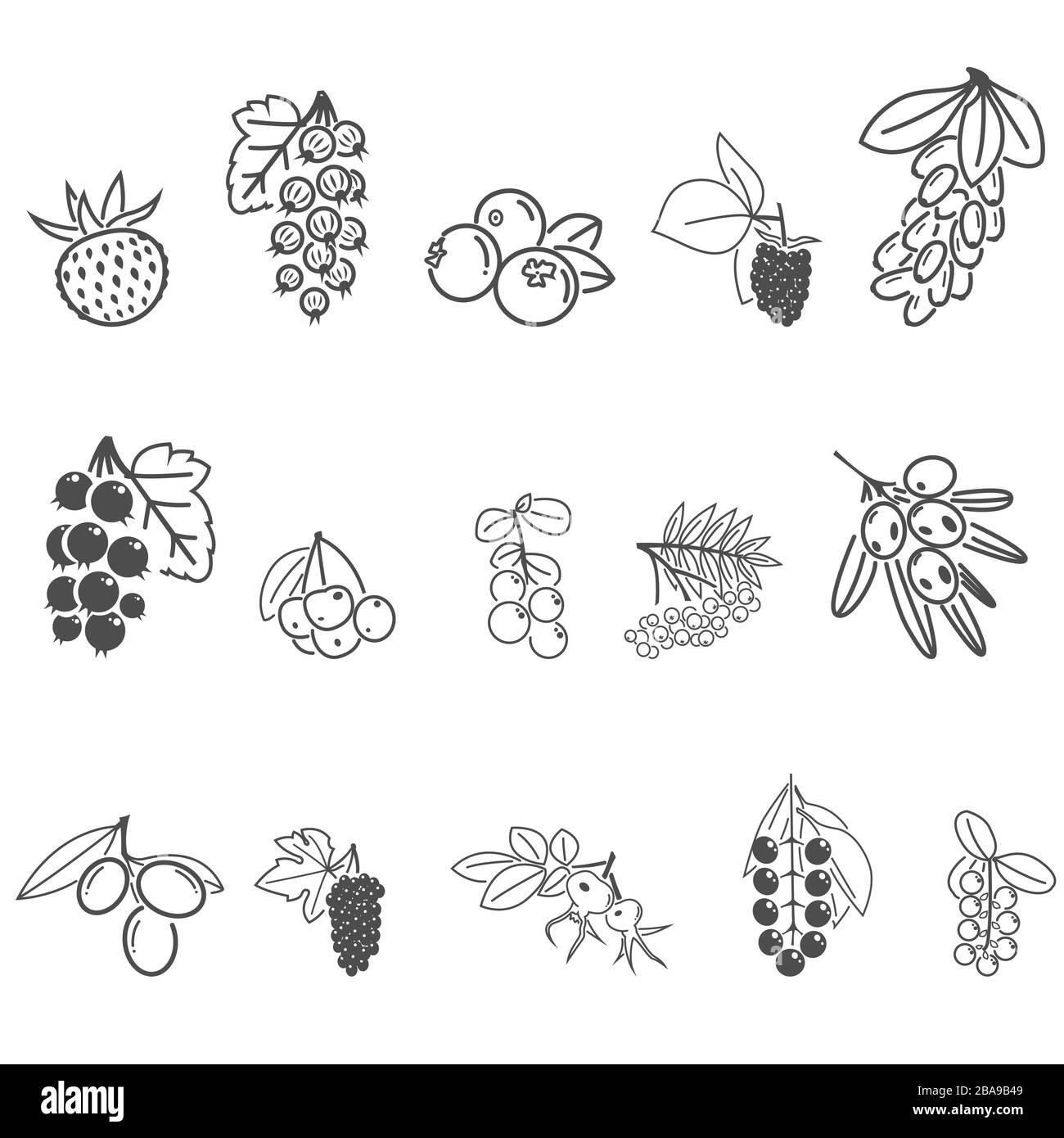 Icons of berries. Rose hips, strawberries, cherries, cherries, cranberries, cranberries,barberry, olives, cherry, Rowan, red and black currants, barbe Stock Vector