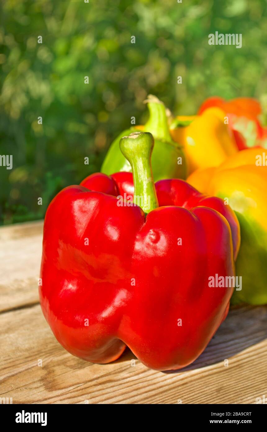 Mix different bell peppers hi-res stock photography and images - Alamy