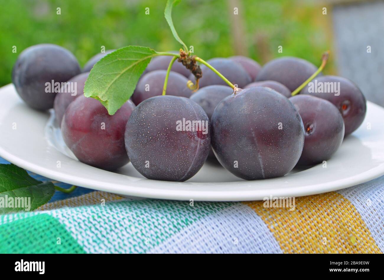 Fresh plums on old wooden table Stock Photo