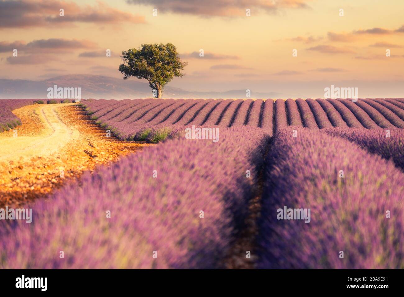 Sunny southern france hi-res stock photography and images - Alamy