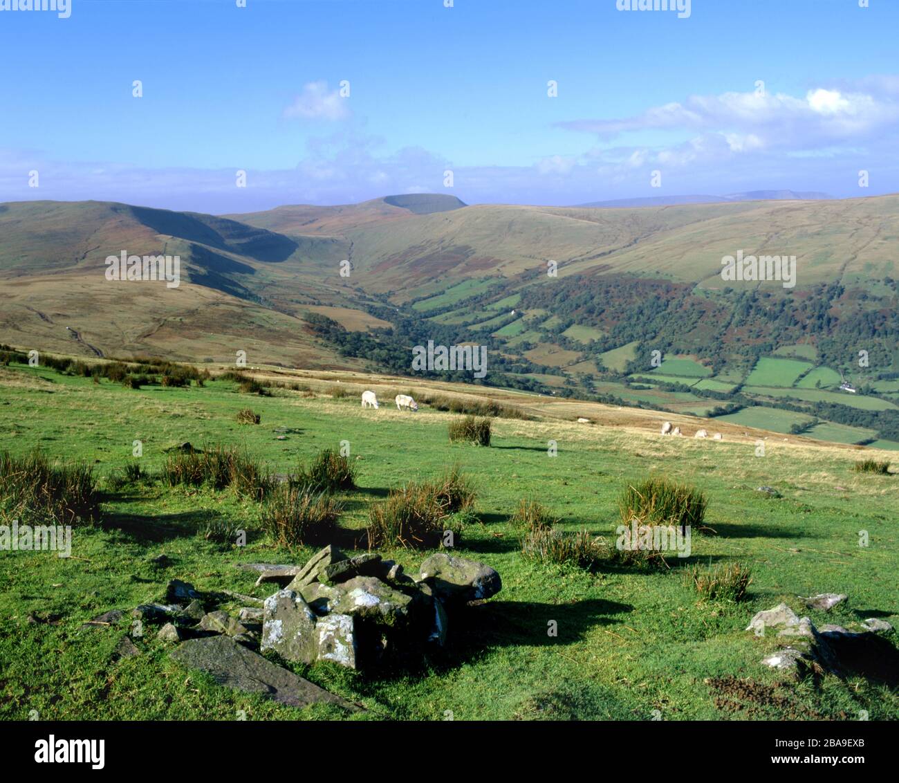 view across fforest fawr with fan gyhirych in distance brecon beacons national park wales Stock Photo