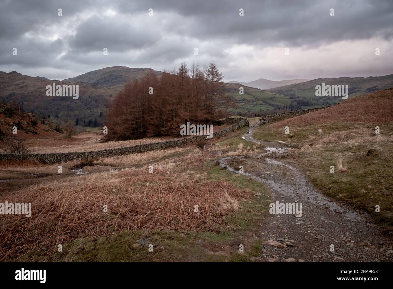Evening light on cloude lokking towards Ambleside from bridelway over Loughrigg, Lake District, UK Stock Photo