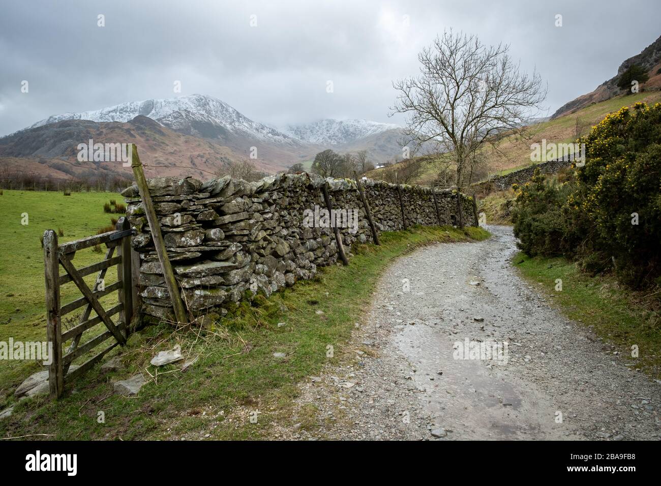 Looking along a dry stone wall lane to the snow covered summit of Wetherlam with clouds covering the summits of Swirl How and Great Carrs, Little Lang Stock Photo