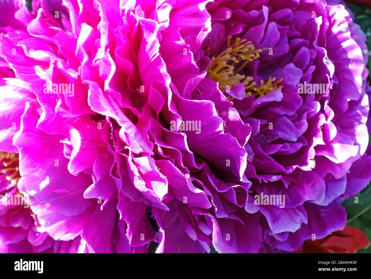 Artificial dahlias on grave in South London Stock Photo