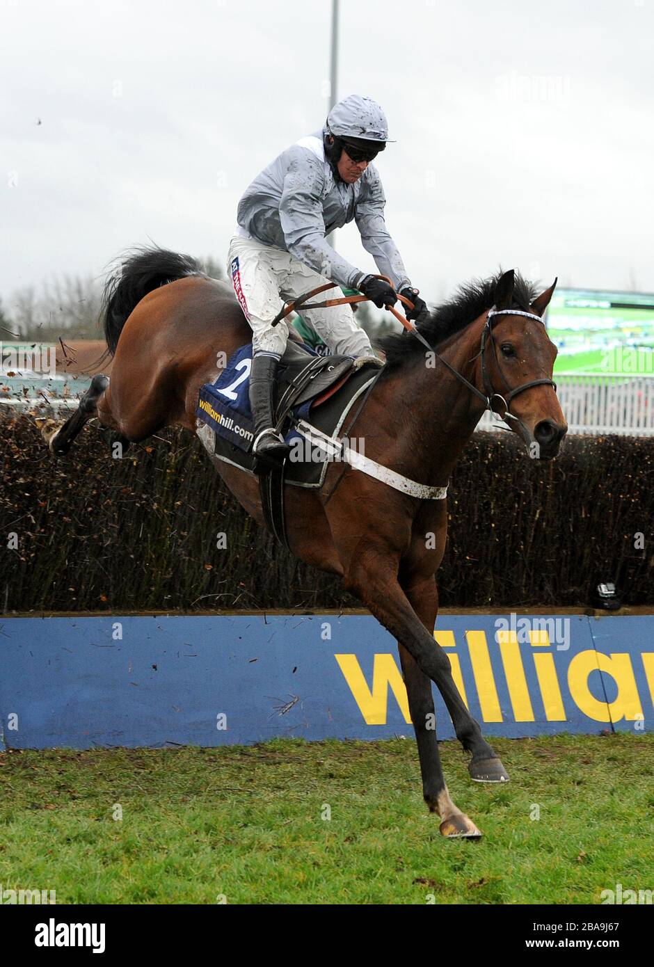 Hadrian's Approach ridden by Barry Geraghty during the Kauto Star Feltham Novices' Chase Stock Photo
