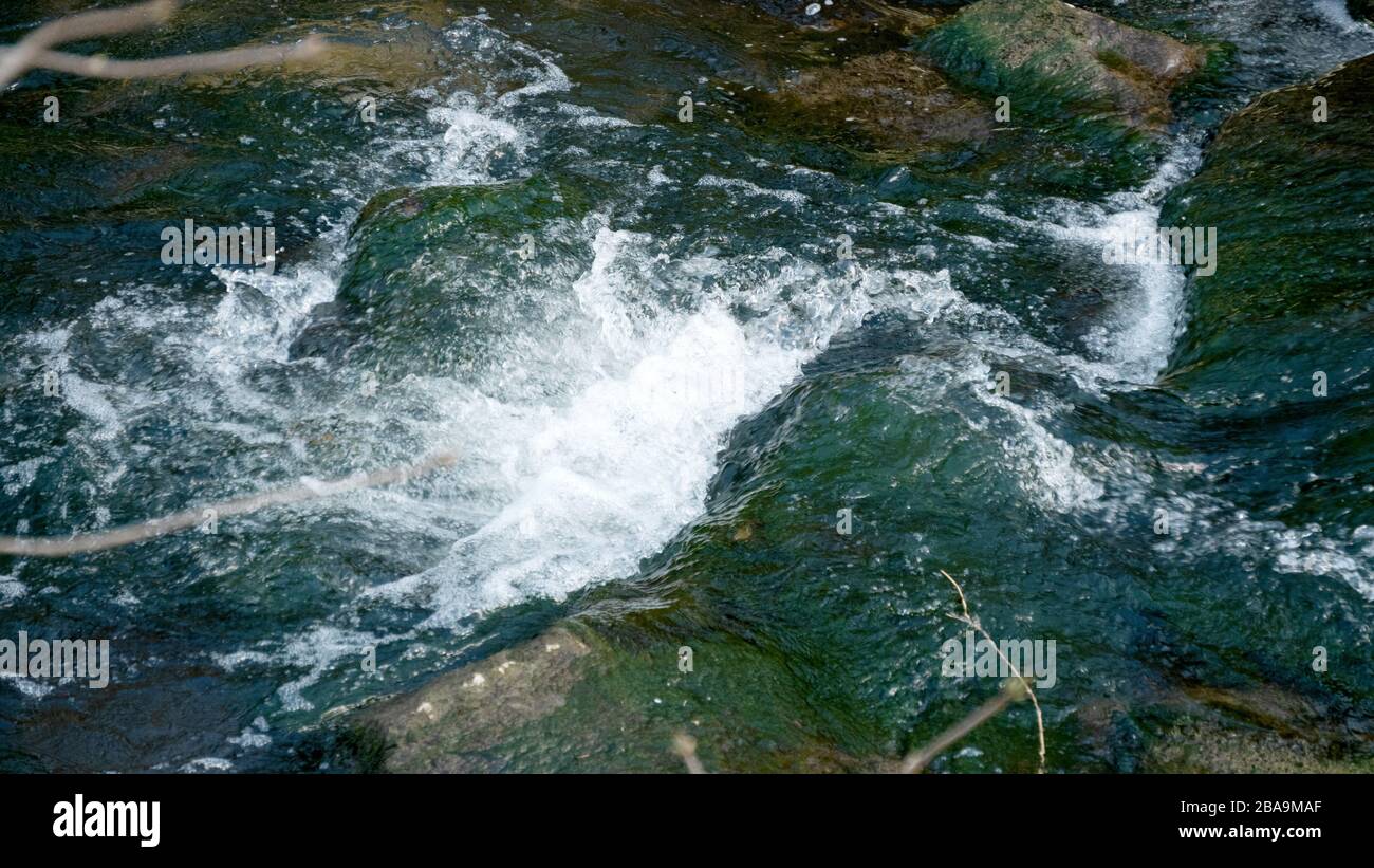 Foamed water of a brook in spring Stock Photo - Alamy