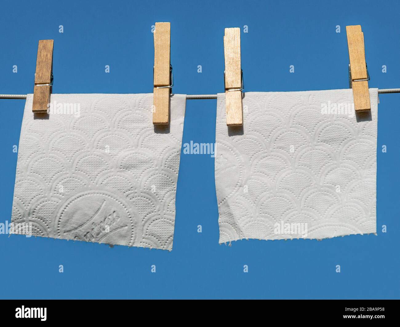 Desperate times - desperate measures. Concept image illustrating drying toilet / loo paper sheets for re-use during Covid-19 Coronavirus pandemic Stock Photo