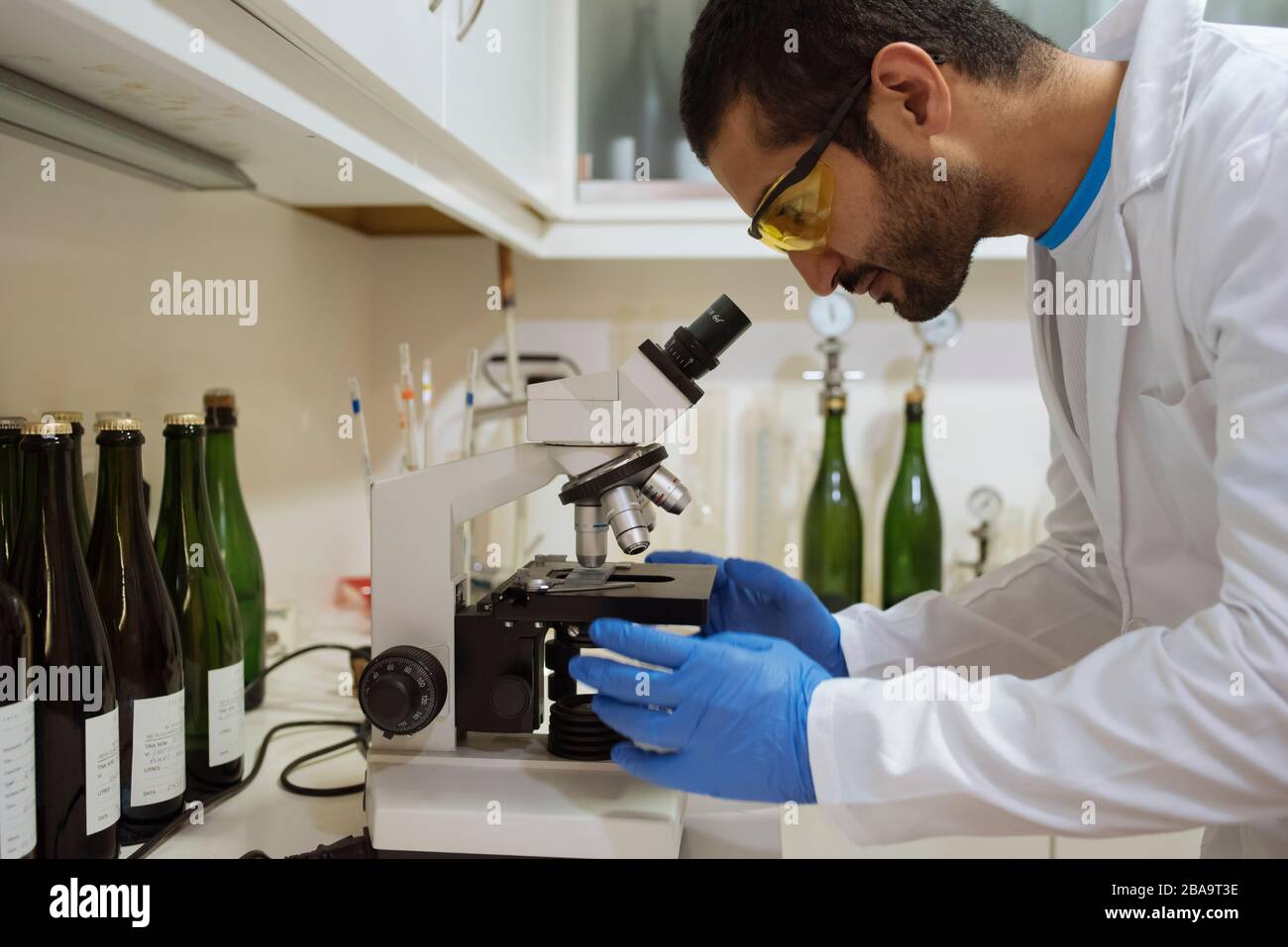Winemaker analyzing a sample under a microscope in a winery lab. Stock Photo