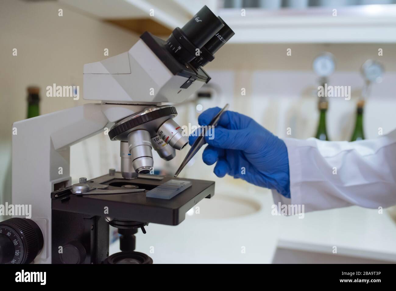 Sample microscope hires stock photography and images Alamy