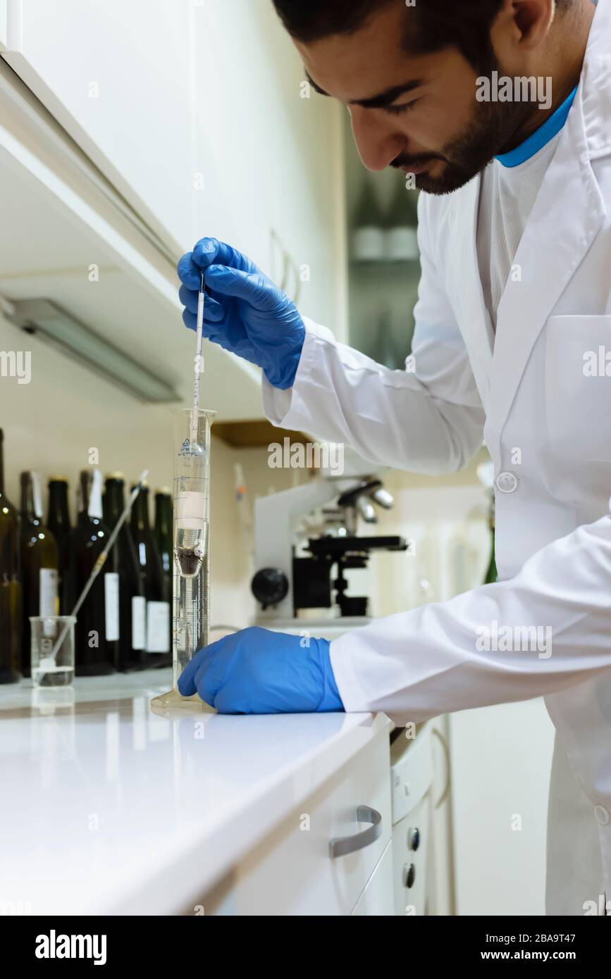 Arabic winemaker working in winelab wearing white gown and gloves. Stock Photo