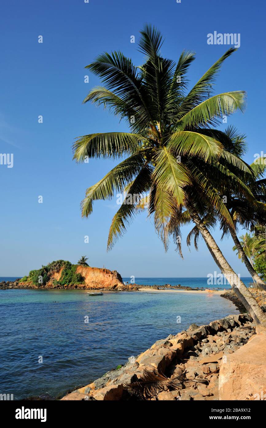 Sri Lanka, Mirissa beach Stock Photo