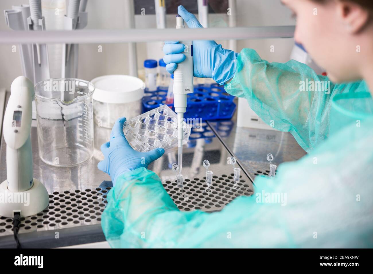 Young woman prepares samples for the study of diseased human cells Stock Photo