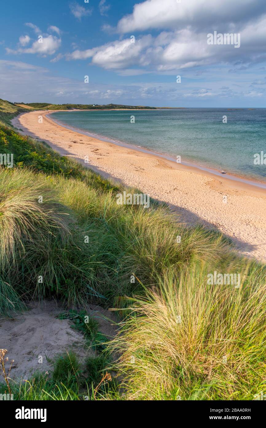 UK, England, Northumberland, Embleton Bay, Beach Stock Photo