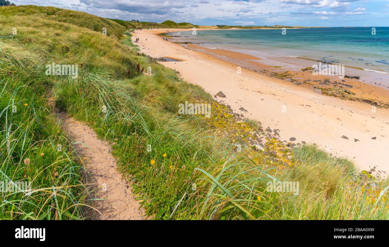 UK, England, Northumberland, Embleton Bay, Beach Stock Photo