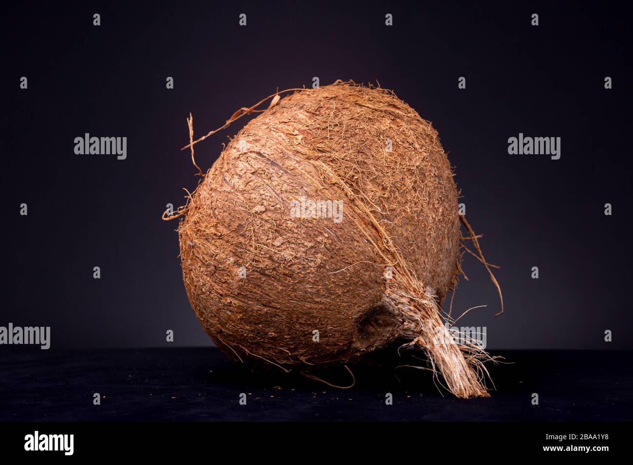 Small depth of field still life of Coconut calabash in even studio ...