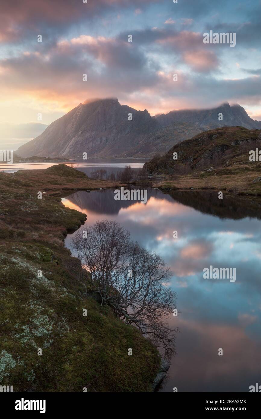 View Of A Norwegian Fjord In Summer On Senja Island In Northern Norway Beautiful Landscape Tromso Country Colorful Sunset Midnight Sun During Summer Stock Photo Alamy